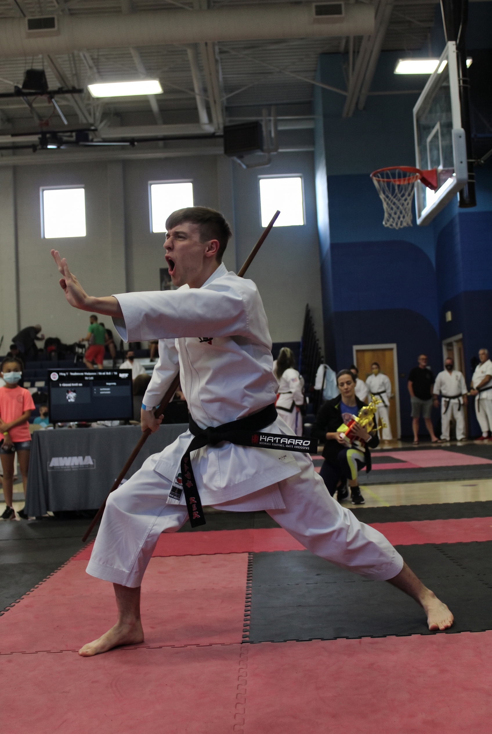 Karate competitor performing at a tournament